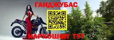 крисы Лесосибирск