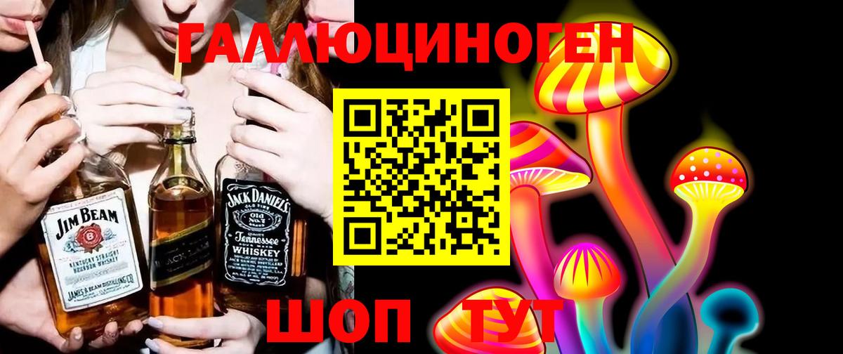 Городец  Псилоцибиновые грибы MAGIC MUSHROOMS  Вход с VPN 